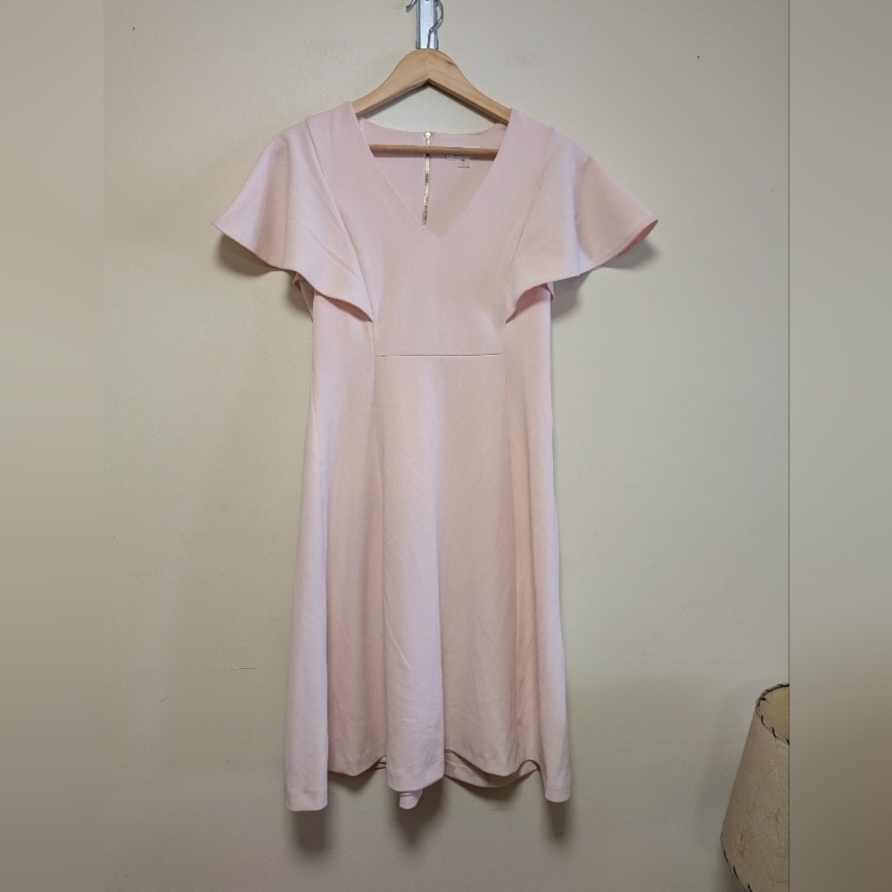 Calvin Klein Blush Pink Flutter Sleeve Fit & Flare Dress Size 4